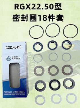 意大利AR进口500公斤RGX22.50N冲树皮除锈清洗用泵头主水封配件包
