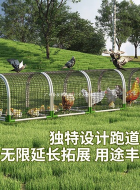 多功能养殖棚鸡铁丝围栏网鸡笼新款防腐防锈简易户外养鸡隧道跑笼