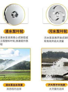 家用潜水泵1寸220V小型抽水泵吸水高扬程家用井水农用清水污水泵
