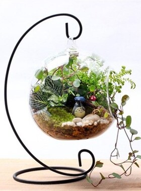 2CM微景观生架瓶 吊瓶支架挂态 悬挂花架 悬挂S铁架挂钩323CM