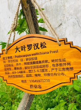 定制花草地牌树牌户外插地牌悬挂式标牌防腐实木质牌简介植物挂牌