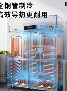 国美【线下门店同款】四六门冰箱