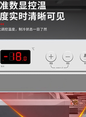 GOME国美电器超市组合导柜雪糕柜