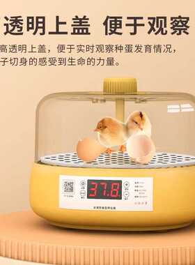 孵蛋器芦丁鸡小鸡孵化器小型家用智能孵化机水床鹦鹉全自动孵化箱