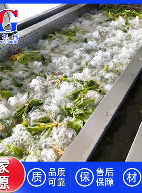 蔬菜清洗机全自动果蔬清洗风干线商用果蔬气泡清洗全套设备