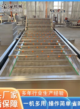 供应全自动果蔬清洗机不锈钢西葫芦清洗机薄荷叶气泡清洗机