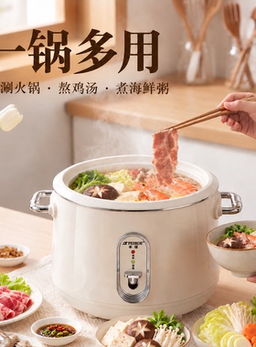 半球电饭煲上蒸下煮煲汤机械式