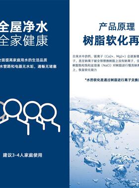 砾鼎工业软水机1吨/时大流量水处理设备中央软水树脂过滤净水系统