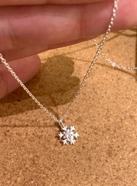 圣诞冬季雪花项链女2026新款精致冷清感钛钢不掉色锁骨链饰品定制