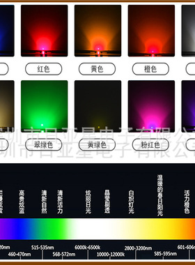 5050红蓝双色正白暖白二合一大排灯光理疗贴片led灯珠光理疗贴片