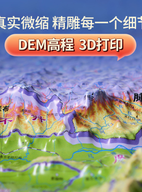 3D立体中国地i图精雕世界凹凸地形图办公室挂图挂画装饰画高清客