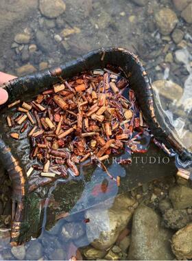 稻荷Inari 茜草根养缸 红色系天然植物染料 草木染材 手工扎染DIY