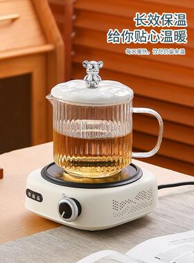 可加热玻璃单锅小办公室家庭健康杯花茶壶沸水加厚高硼硅酸盐玻璃