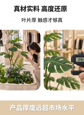 仿真绿龟背叶树服装店橱窗造景秋冬造景摆件假绿植高级感创意风