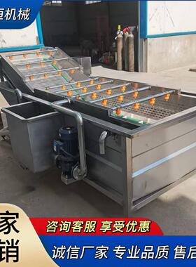 西兰花果蔬气泡清洗机韭菜叶菜白菜清洗机酱菜脱盐流水线设备
