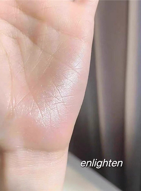 现货赛琳娜新品丝滑触感高光水光Enlighten小猴子推荐款立体持久