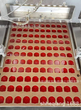 上海食品机械厂小型糖果浇注生产设备软糖硬糖糖果生产线免安装