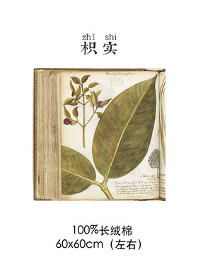 枳实原创自制100%长绒棉吸汗透气防晒方巾