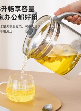 志高多功能加厚高硼硅玻璃养生壶养生水壶花茶壶电热水壶制logo
