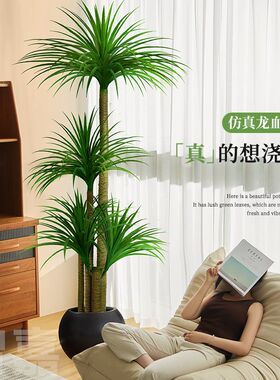 仿真绿植多头龙血树客厅室内大型轻奢仿生植物盆栽沙发落地摆件