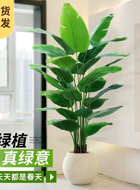 仿真绿植天堂鸟植物轻奢室内客厅装饰落地假花树大型仿生盆栽摆件
