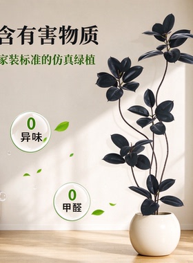 仿真黑金刚橡皮树大型落地绿植居家客厅盆栽无需养护仿真花装饰