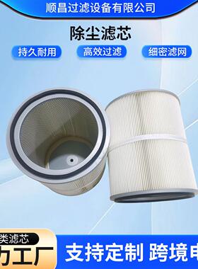 无纺布工业抛丸机粉末回收防静电滤芯喷砂机覆膜工业除尘滤筒