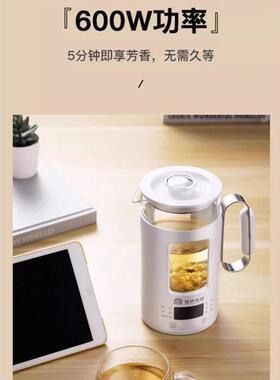 荣盛健康壶便携式玻璃泡茶机旅行电热水杯家用迷你壶煮花茶壶