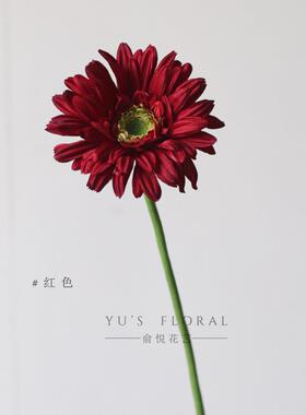 模拟花富郎花非洲菊单枝假花家居装饰花卉景观假花摄影道具