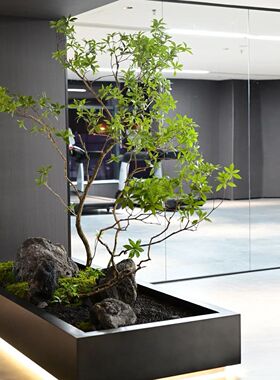 精品仿真马醉木绿植造景橱窗植物商场餐厅室内装饰大型假树景观