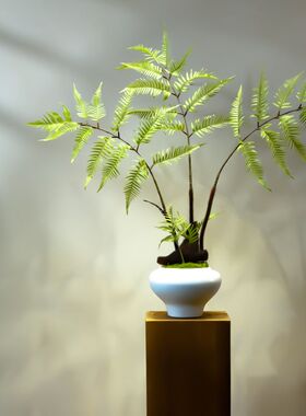 红磷蕨仿真绿植假花高级古风新中式茶室装饰禅意玄关摆件小型盆景