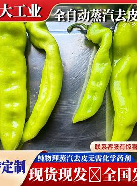 蒸汽去皮机 全自动果蔬脱皮设备 辣椒红薯葡萄土豆温瞬时蒸汽去