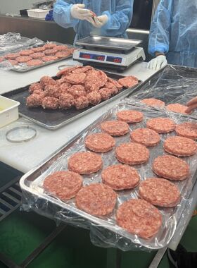 W达瑞宝肉饼汉堡成型设备不锈钢全自动汉堡肉饼成型机鱼饼压饼机