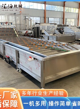 全自动杏鲍菇清洗机口蘑果蔬喷淋式清洗机净菜果蔬气泡清洗线