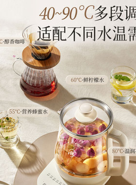 小熊养生壶1.8升家用加厚玻璃