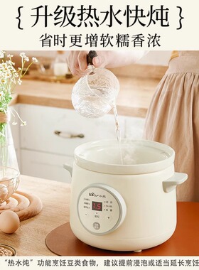 小熊电炖锅煮粥煲汤炖盅