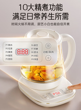 小熊养生壶办公室全自动煮茶器