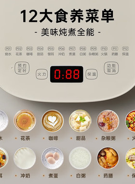 Bear/小熊泡茶烧水壶煮茶壶