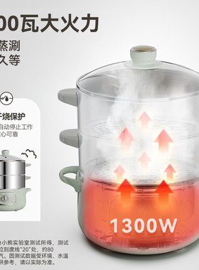 小熊电蒸锅多功能家用蒸煮一体新款蒸锅小型煮锅定时早餐机电火锅