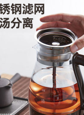 小熊煮茶器家用全自动蒸汽