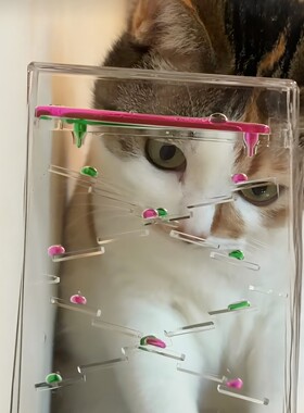 液态水滴沙漏减压猫咪发