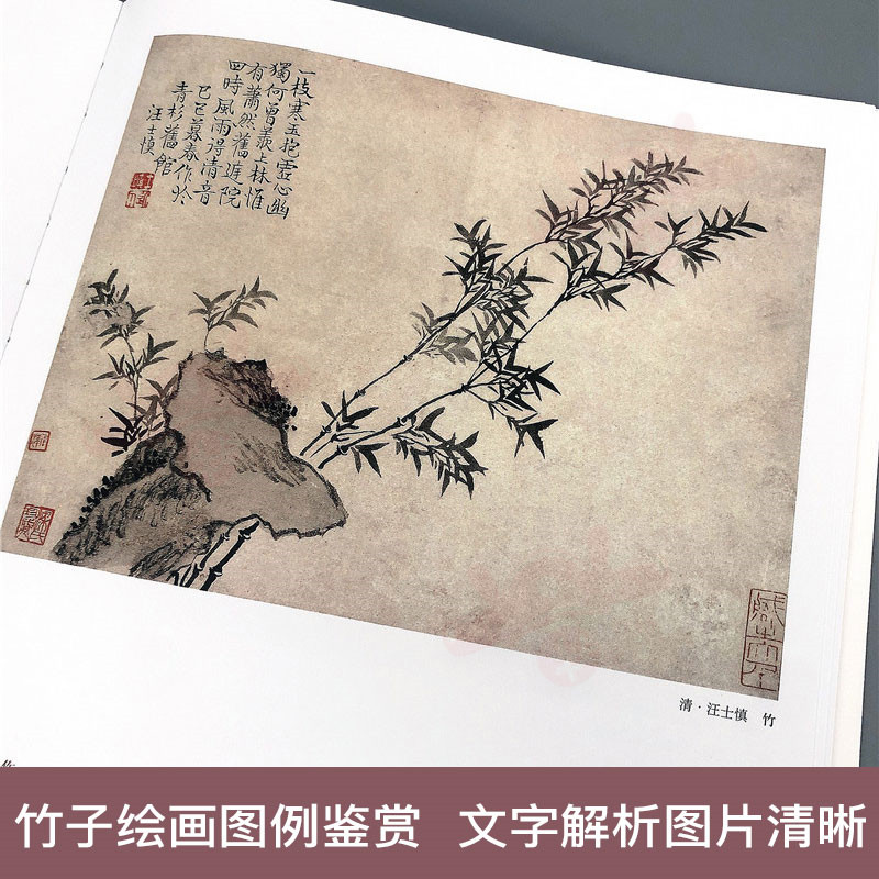 中国历代绘画百图 竹子 苏百钧主编古代名画鉴赏宋元明清代水墨国画工笔临摹吴镇倪瓒郑板桥等绘画作品竹谱欣赏画册河南美术 - 图3