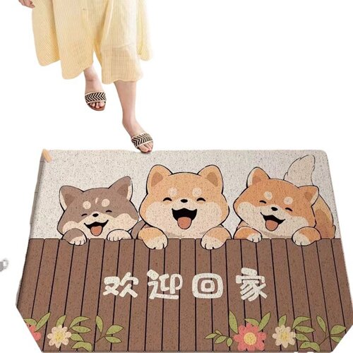 入户门地垫门口进门脚垫可裁剪丝圈门垫轻奢高级可擦防滑地毯定制 - 图3