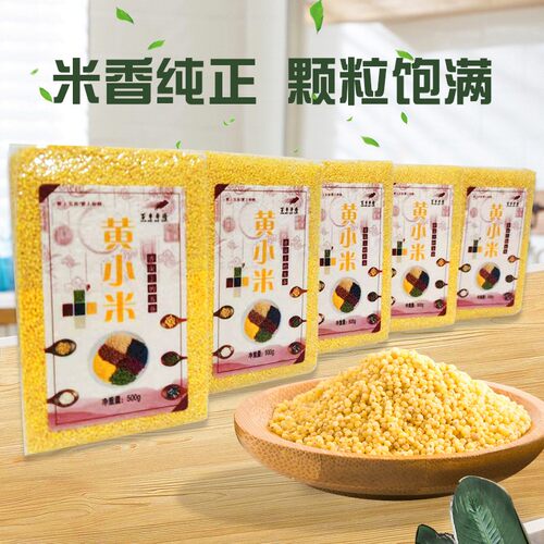 新鲜黄小米真空包装小黄米农家小米粥5斤月子米食用杂粮 - 图0