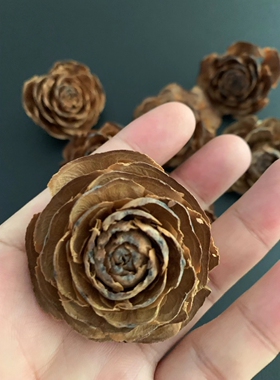 松果永生天然植物搭配材料干花
