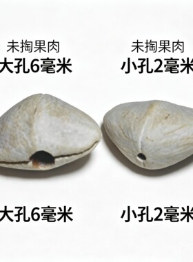 夹竹桃通货厂家。果壳风铃便宜打孔已淘果肉