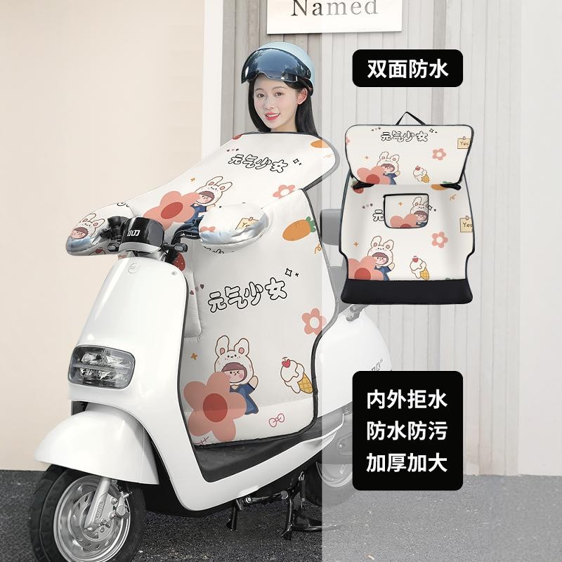 电动车挡风被四季通用双面防水防风罩摩托电瓶车冬季加厚春秋防雨 - 图1
