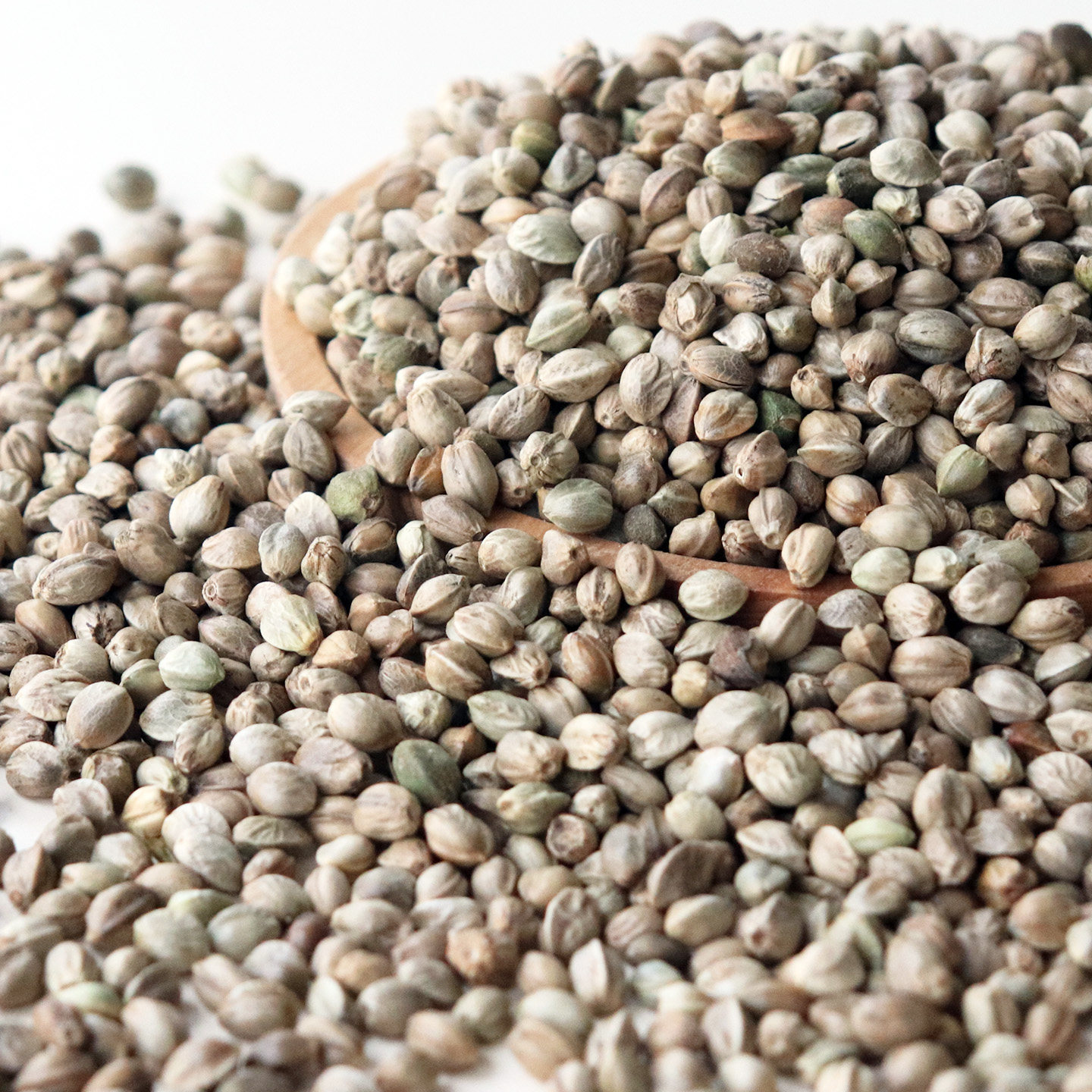 鹦鹉鸟粮纸壳麻子鸟零食小太阳和尚训练奖励牡丹玄凤饲料大颗粒火,淘宝优惠券,粉丝福利购,淘宝优惠卷