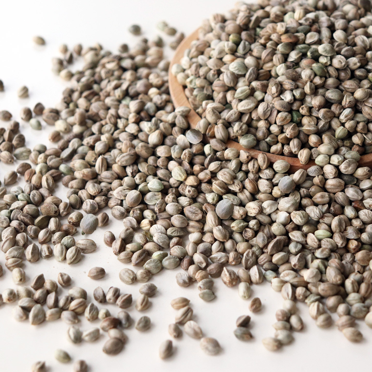 鹦鹉鸟粮纸壳麻子鸟零食小太阳和尚训练奖励牡丹玄凤饲料大颗粒火,淘宝优惠券,粉丝福利购,淘宝优惠卷