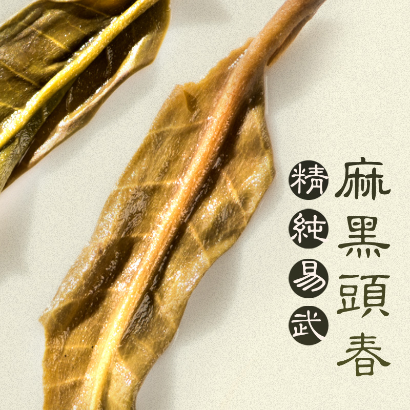 预售】岁月知味2024年头春易武麻黑蜜境大树云南普洱生茶叶饼春茶-图2